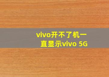 vivo开不了机一直显示vivo 5G